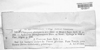 Image Associated With the Occurence